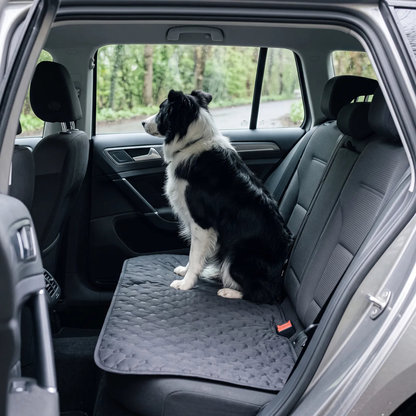 Border Collie sitzt auf einer graphitfarbenen SOVA Kühlmatte auf der Rückbank eines Kombis