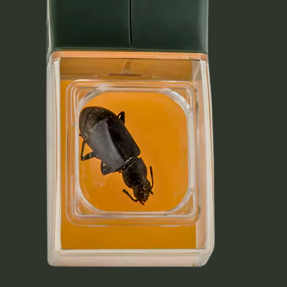 Catchy - die clevere Lösung gegen Spinnen & Co