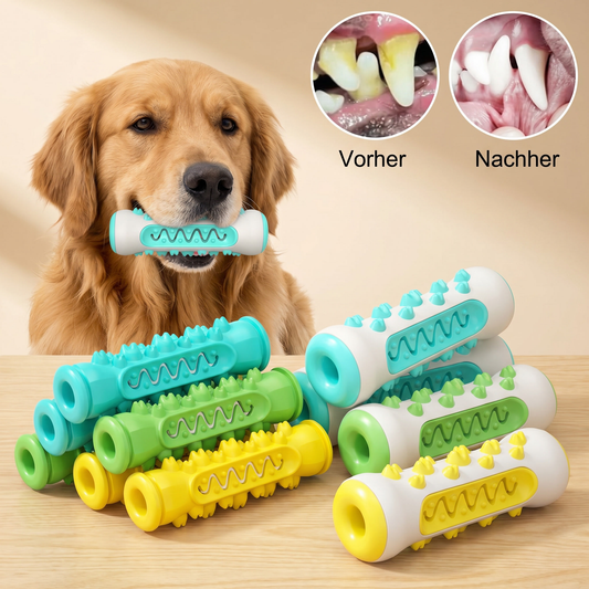 BiteBright™ — Dein Hund putzt jetzt selbst.