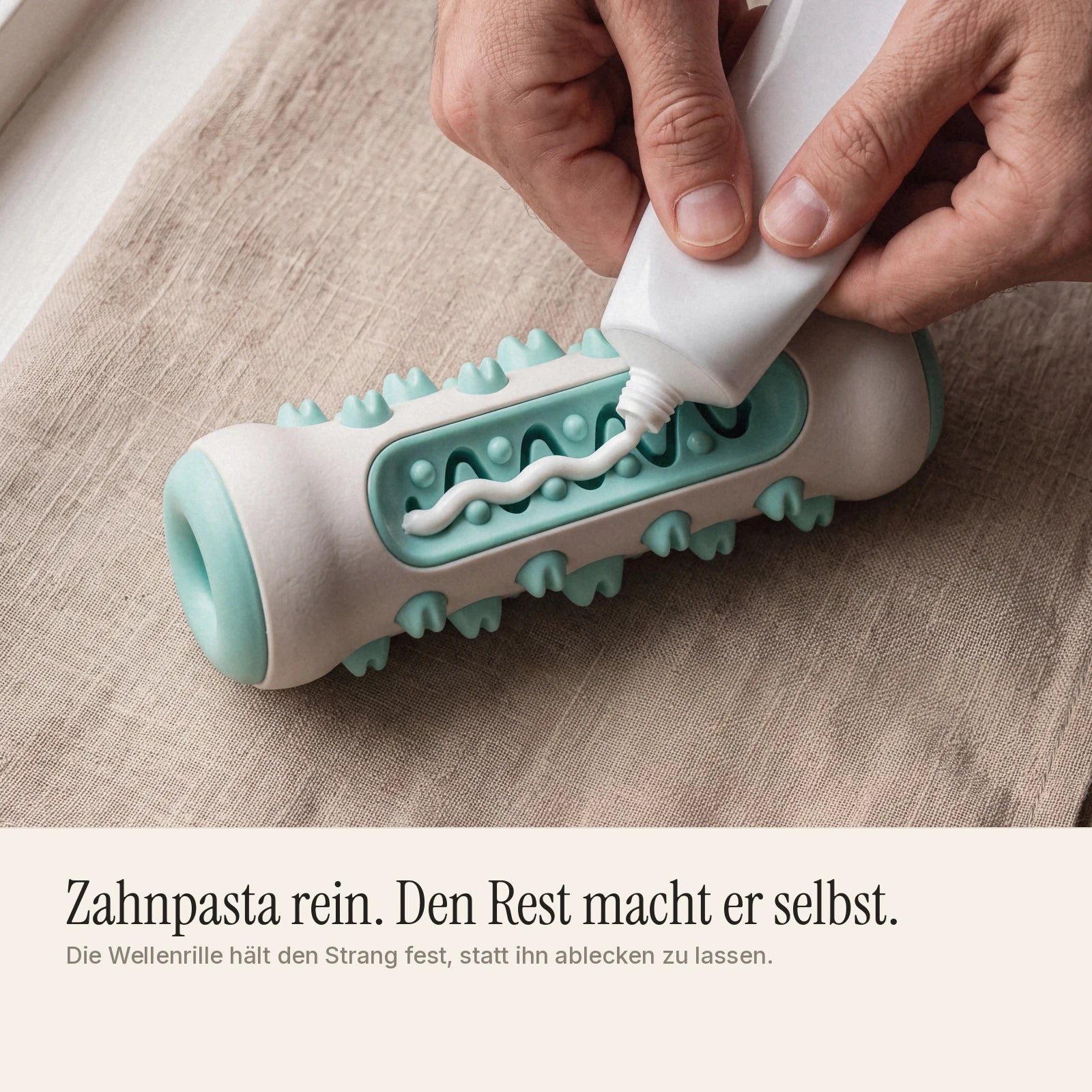 Hundezahnpasta wird in die Wellenrille des BISSO Kausticks gedrückt